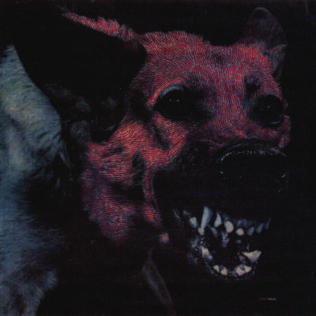 Protomartyr - Under color of official right (CD) - Velvet Music