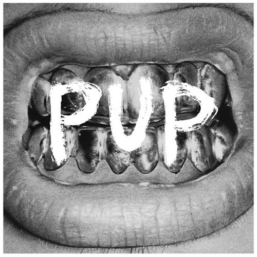 Pup - Pup (LP) - Velvet Music