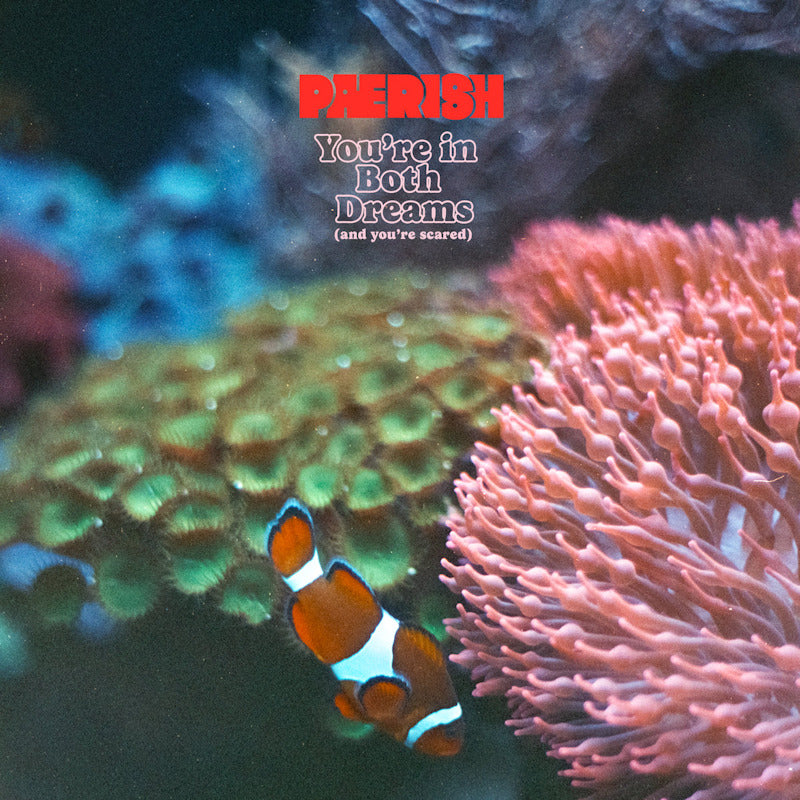 Paerish - You're in both dreams (and you're scared) (LP) - Velvet Music