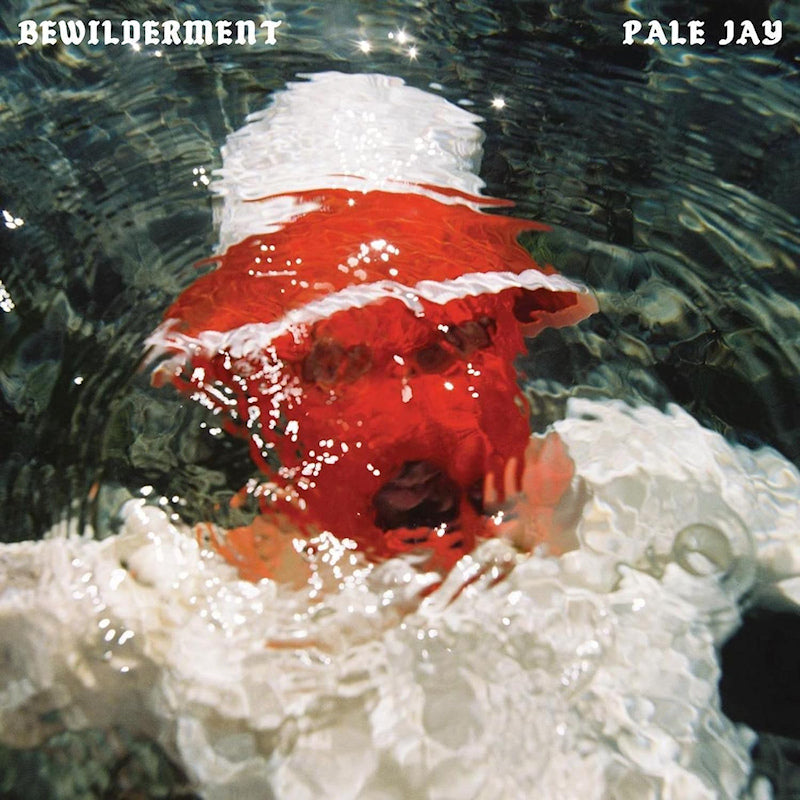 Pale Jay - Bewilderment (seafoam green) (LP)