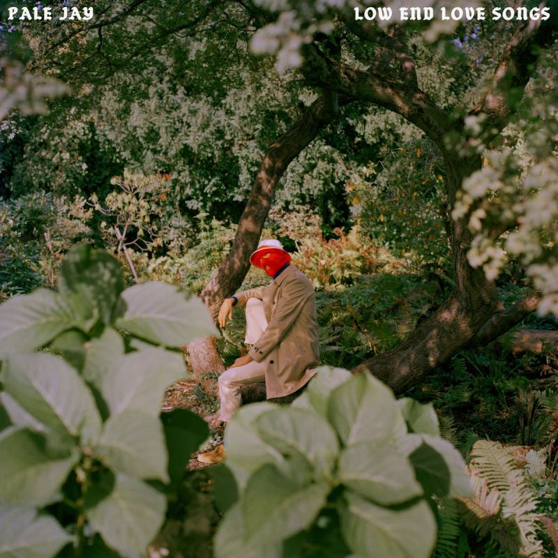 Pale Jay - Low end love songs (LP) - Velvet Music