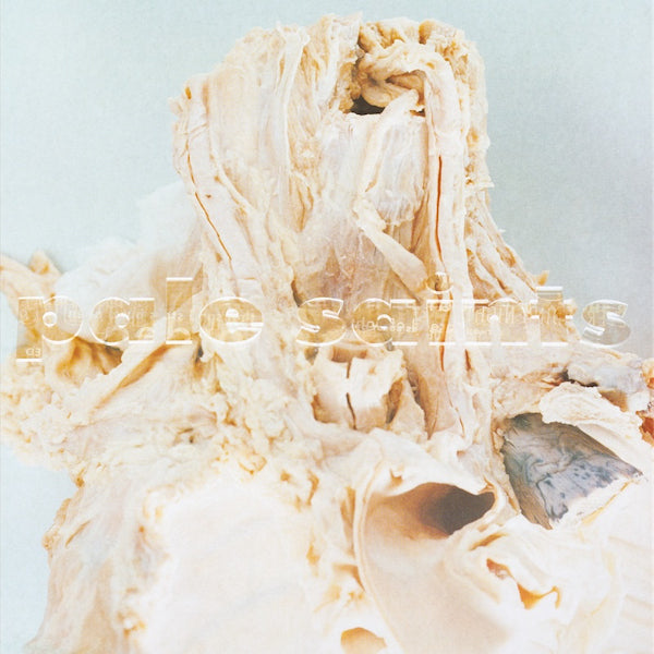 Pale Saints - In ribbons -2023 reissue- (LP)