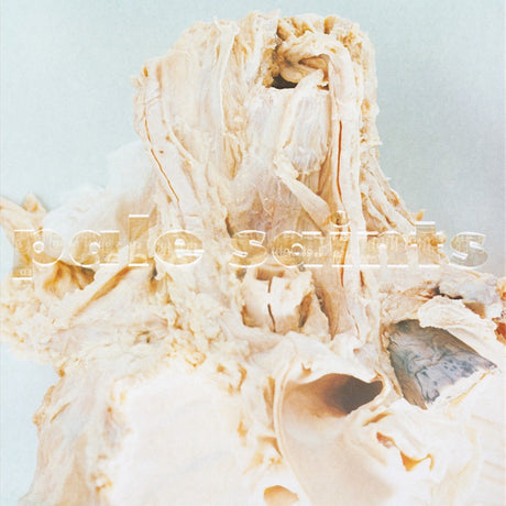 Pale Saints - In ribbons -2023 reissue- (LP)