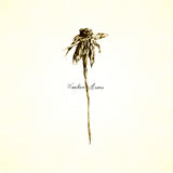 Patrick Watson - Wooden arms (LP) - Velvet Music