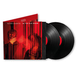Peter Gabriel - In The Big Room (LP) - Velvet Music