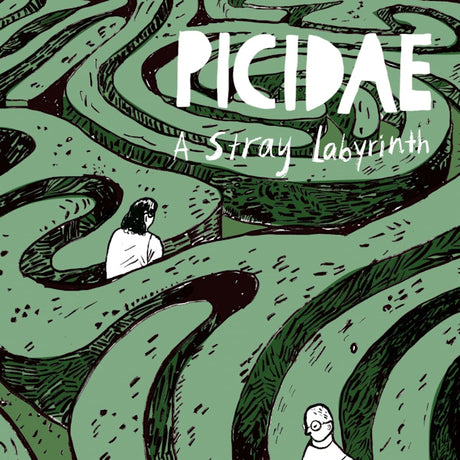Picidae - A stray labyrinth (CD) - Velvet Music