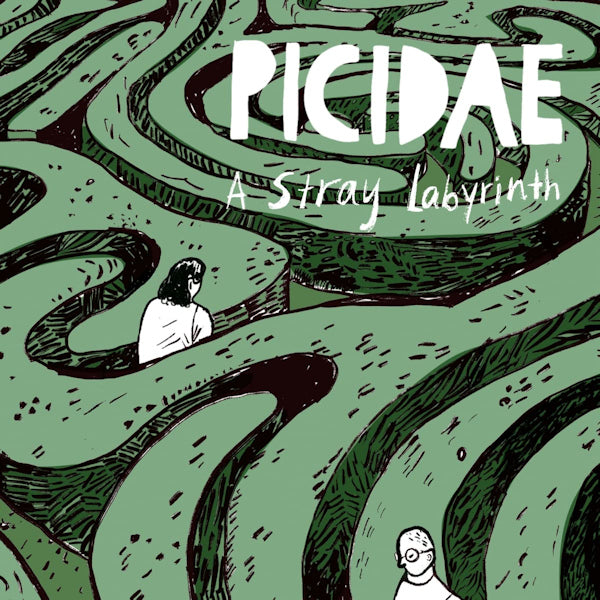 Picidae - A stray labyrinth (LP) - Velvet Music
