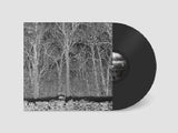 Pile - Sunshine and balance beams (LP)