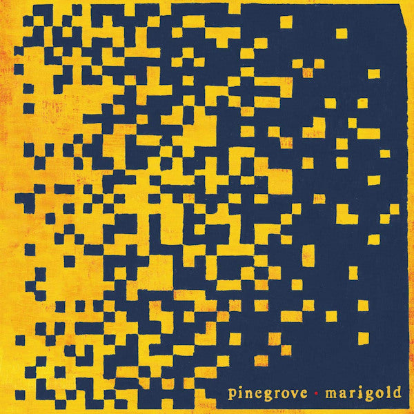 Pinegrove - Marigold (LP) - Velvet Music