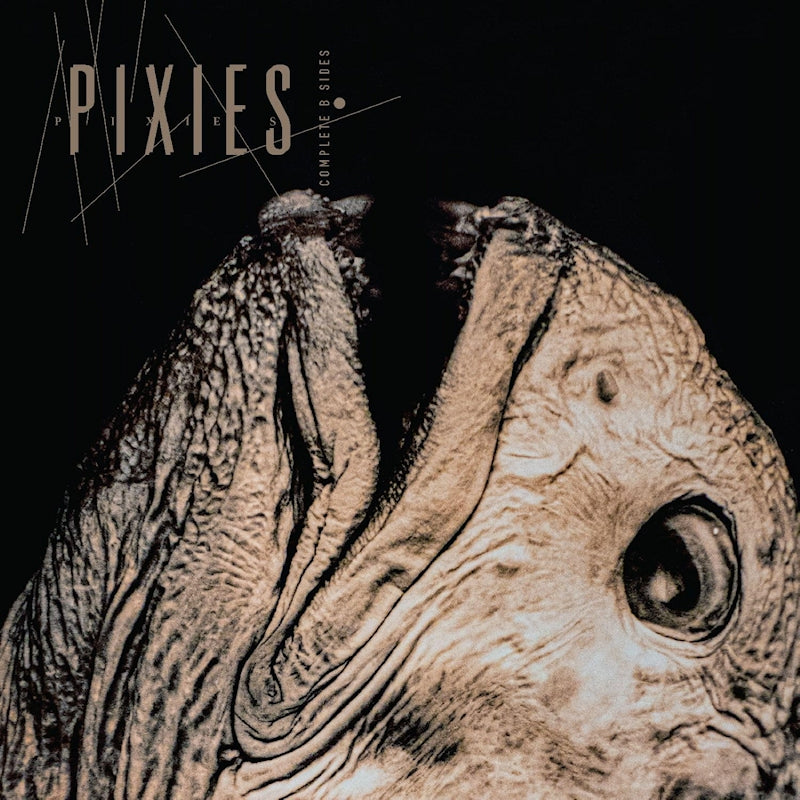 Pixies - Faces B complètes: 1988-97 (CD)