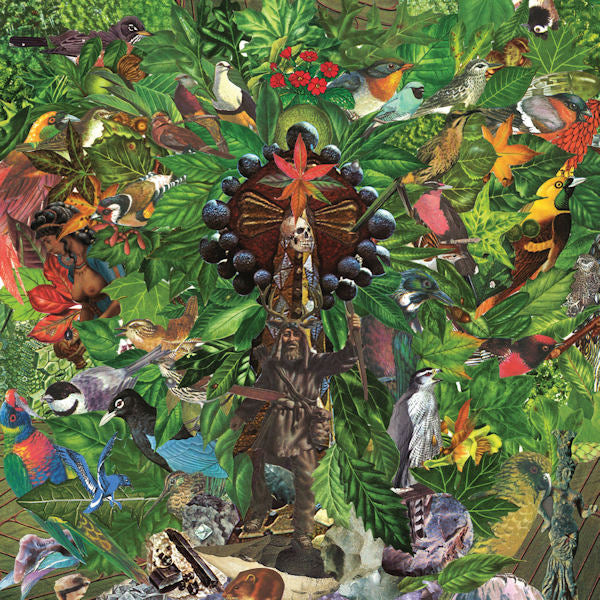 Plankton Wat - Drifter's temple (LP) - Velvet Music
