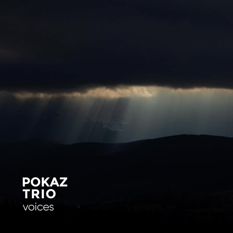 Pokaz Trio - Voices (LP) - Velvet Music
