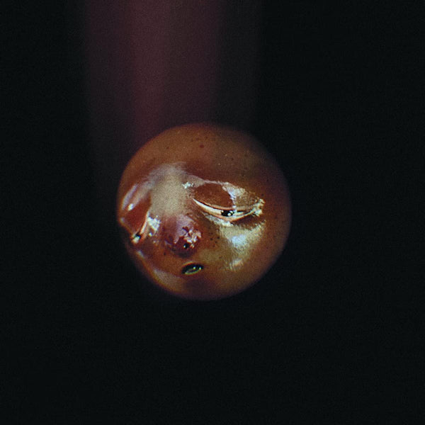 Poolblood - Mole (LP) - Velvet Music
