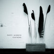 Poppy Ackroyd - Feathers (LP) - Velvet Music