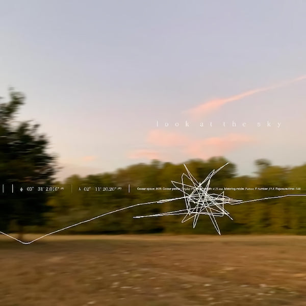 Porter Robinson - Look at the sky (12-inch maxi-single)