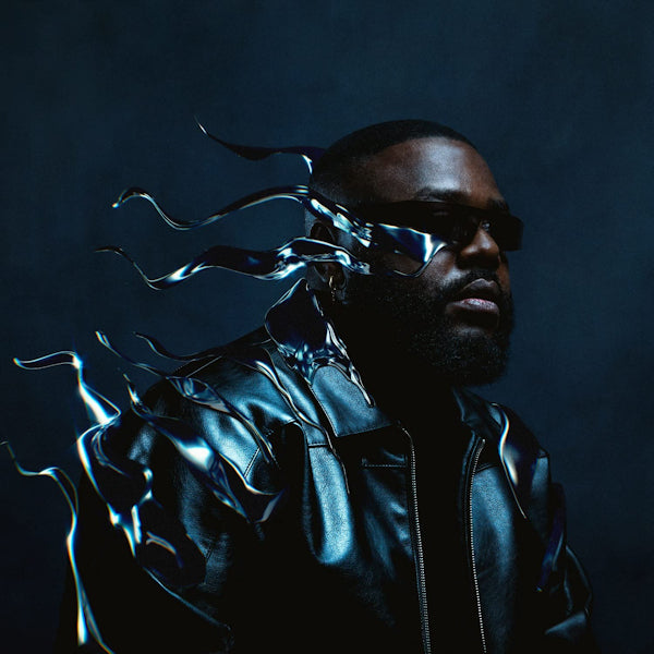 Prinzly - Passager (((8))) (LP) - Velvet Music