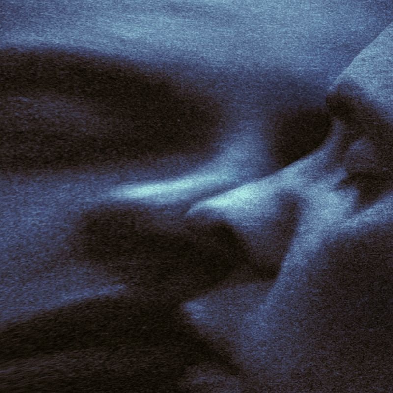 Puma Blue - Croak dream (CD)