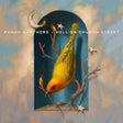 Punch Brothers - Hell on church street (LP) - Velvet Music