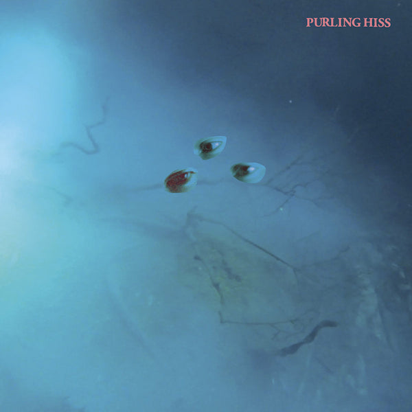 Purling Hiss - High bias (LP) - Velvet Music