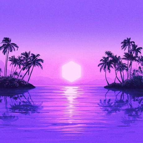 Purple Disco Machine - Paradise (LP) - Velvet Music