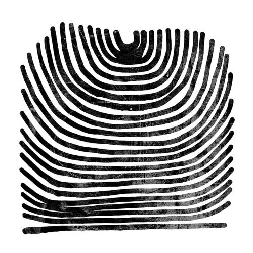 Rival Consoles - Howl (LP) - Velvet Music