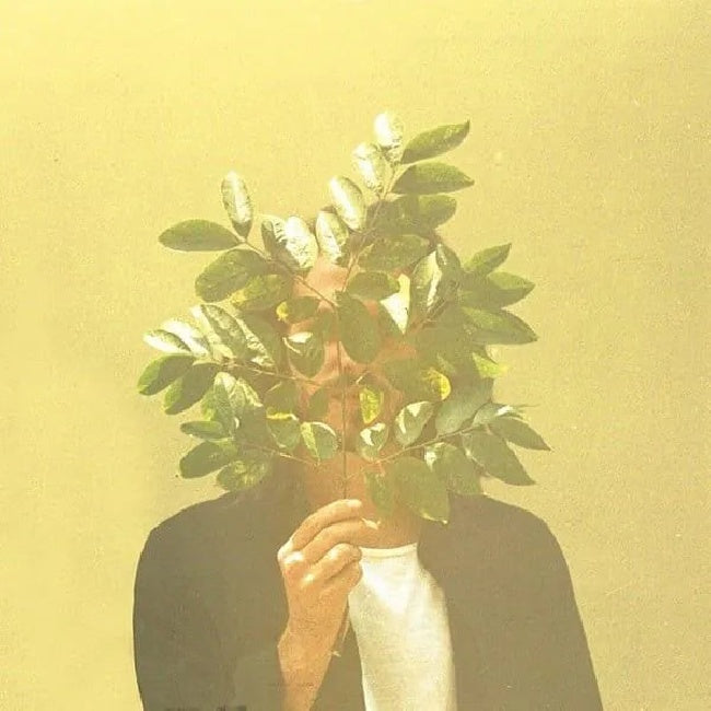 Fkj - French kiwi juice (LP) - Velvet Music
