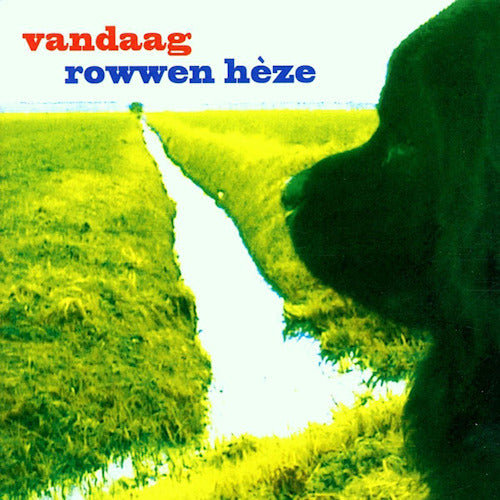 Rowwen Hã¨ze - Vandaag (LP) - Velvet Music