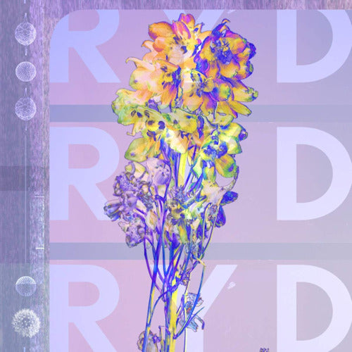 Ryd - Ryd (LP)