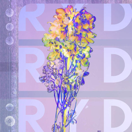 Ryd - Ryd (CD) - Velvet Music