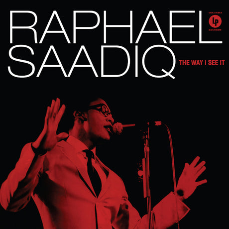 Raphael Saadiq - The way i see it (LP)