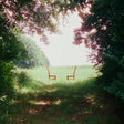 Ratboys - Singin' to an empty chair (LP) - Velvet Music
