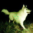 Real Farmer - Compare what's there -fluorescent green vinyl- (LP)