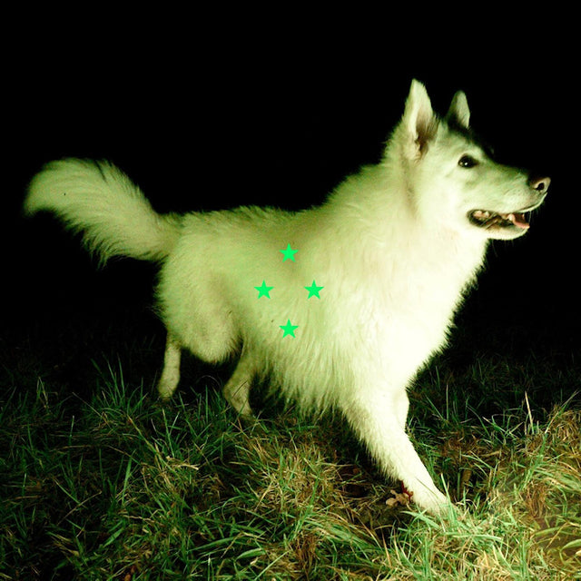 Real Farmer - Compare what's there -fluorescent green vinyl- (LP)