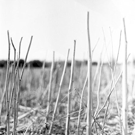 Recondite - On acid (LP) - Velvet Music
