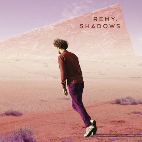Remy Van Kesteren - Shadows (LP) - Velvet Music