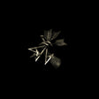 Resina - Traces: remixes (12-inch maxi-single) - Velvet Music