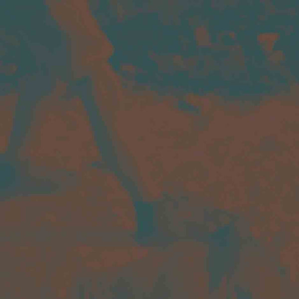 Ritual Howls - Ritual howls (CD) - Velvet Music