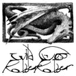 Robber Robber - Wild guess (LP) - Velvet Music