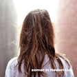 Roosbeef - Zomer in nederland (CD) - Velvet Music