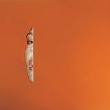 Rosie Lowe - Lover other (LP)