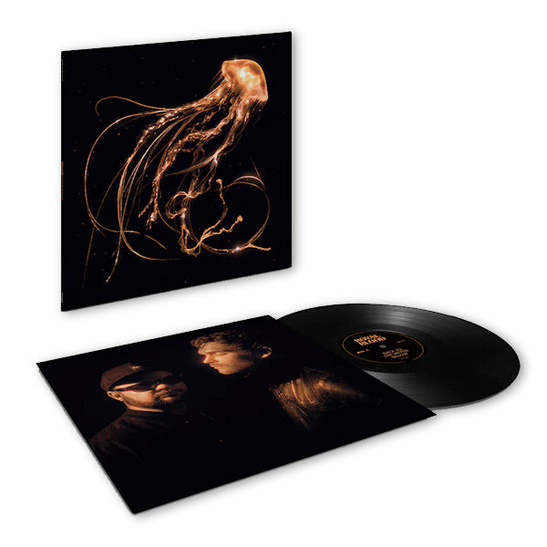 Royal Blood - Back to the water below (LP) - Velvet Music