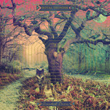 Royal Thunder - Crooked doors (LP) - Velvet Music