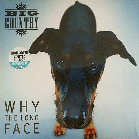 Big Country - Why The Long Face (LP)
