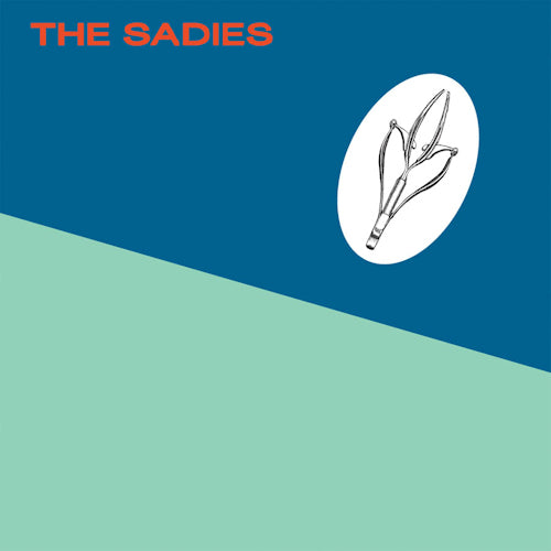 Sadies - Precious moments (CD) - Velvet Music