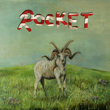 Sandy Alex G - Rocket (LP) - Velvet Music