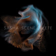 Sasha - Late night tales pres. sasha:scene delete (CD) - Velvet Music