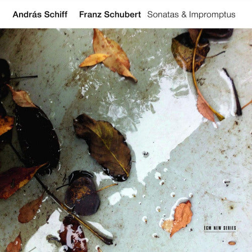 Andras Schiff - Schubert: sonatas & impromptus (CD) - Velvet Music