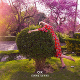 Janne Schra - Ok (LP) - Velvet Music