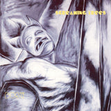 Screaming Trees - Dust (CD) - Velvet Music