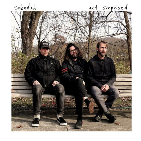 Sebadoh - Act surprised (LP) - Velvet Music